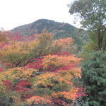 源泉の宿 ちすじ旅館 - テラスからの紅葉