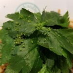 麺屋 六感堂 - かます出汁のゆずみつば（醤油）