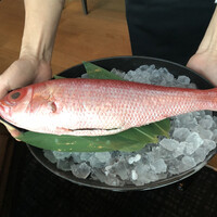 アルヴァ(アマン東京) - 