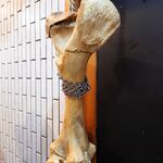 一条流がんこ総本家分家四谷荒木町 - 