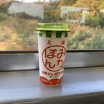 高知アイス売店 - みかんじゅーす