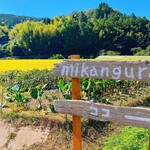 ミカングラ - 田んぼの中に看板が！