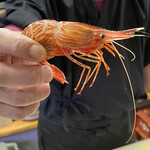 食彩厨房 甚兵衛 - シマエビ