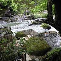 妙見石原荘 食菜石蔵 - 川と一体となった露天風呂「椋の木露天風呂」（混浴）