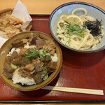 Ayagawa Udon - 注文した料理全景です