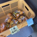 ふわり - 初合わせ柿の販売