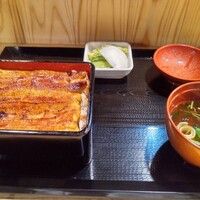 うなぎ 目白ぞろ芽 - 