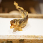 日本橋 蕎ノ字 - 