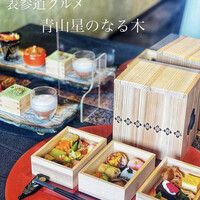 青山 星のなる木 - 