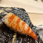 寿し 京町堀 佐藤 - 