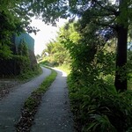 この道を上がると