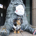 ザ・ペニンシュラ東京 - 銀座三越のライオン
