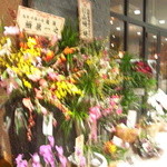 チャイニーズファン - 