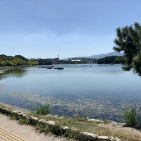 レストラン 花の木 - 