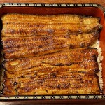 鰻はし本 - 横山さんの鰻のうな重ろ