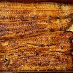 鰻はし本 - 横山さんの鰻のうな重ろ