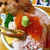 北のどんぶり屋 滝波食堂
