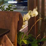 Smoke & Vegetable Bistro SARU - 胡蝶蘭は長生き〜♬