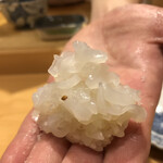 小松 弥助 - 烏賊