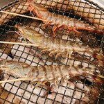 こなす - 車海老