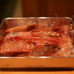 日本料理 たかむら - 