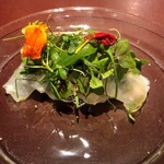 イル アオヤマ - 