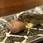 柚木元 - あごまくら