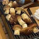 柚木元 - 所狭しと