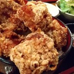 Karaage Hitosuji - 