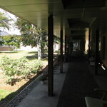 ミュージアム カフェ - ミュージアム①