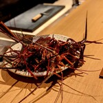 日本料理FUJI - 解禁になったばかりの伊勢海老。キューキュー泣いとる。