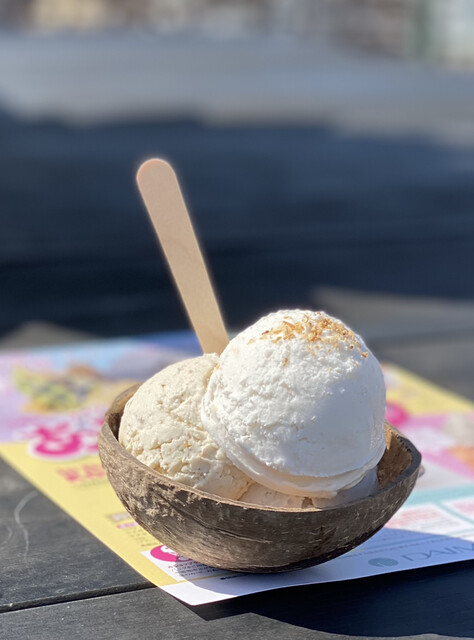 移転】ココナッツグレン 表参道店 （COCONUT GLEN'S） - 明治神宮前