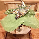 御料理 古川 - 子持ち鮎の塩焼