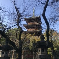 鰻割烹 伊豆栄 本店 - おまけ。上野公園五重塔。支店も近くにありますが、訪問したのは本店です