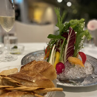 カーザ ヴィニタリア - 