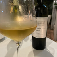 カーザ ヴィニタリア - 