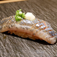 難波 鮨 よこ田 - 