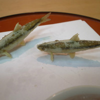 天ぷら 京星 - 
