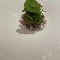 ロドラント ミノルナキジン - 