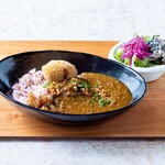Curry with collagen (with Awaji beef Croquette)