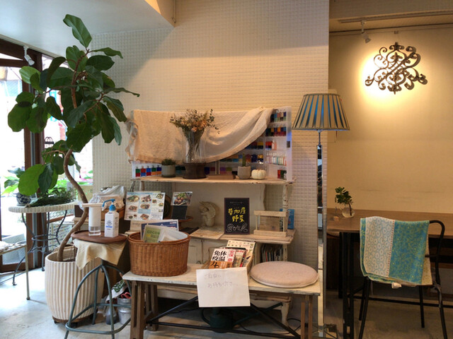 RAINBOW BIRD RENDEZVOUS photo 5