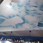 魚とワイン はなたれ - 天井のジンベエザメとエイ