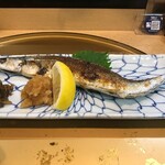 Hikari Zushi - 