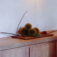 白金台こばやし - 