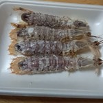 魚庄 - ※シャコを剥いたらこんな感じ。　(2012.11.20)