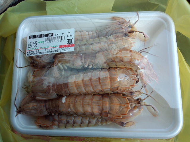 大満足 刺身 シャコ 握り寿司 お弁当 充実のお店です By 元消防団部長 魚庄 笠岡 弁当 食べログ