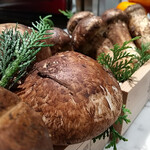 肉割烹 岡田前 - 