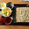 藪北蕎麦 守田屋 - エビ天と冷たいそば(900円)です。