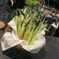 デンクシフロリ - 