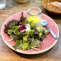 レ・ピコロ - 玉葱のプリンとサラダ